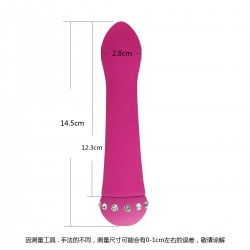 Vibrator 10 Modes 