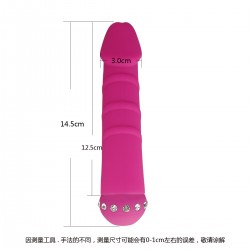 Vibrator 10 Modes 