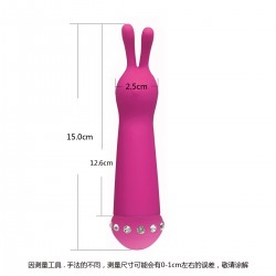 Vibrator 10 Modes 