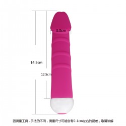 Vibrator 7 Modes 