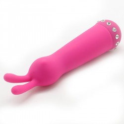 Vibrator 10 Modes 