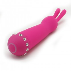 Vibrator 10 Modes 