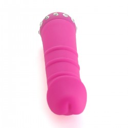 Vibrator 10 Modes 