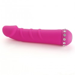 Vibrator 10 Modes 