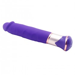 Vibrator 