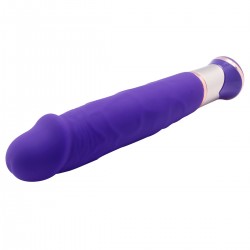 Vibrator 