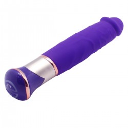 Vibrator 