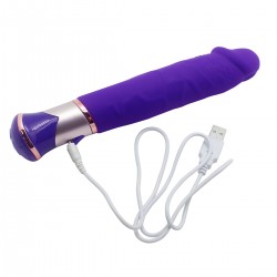 Vibrator 