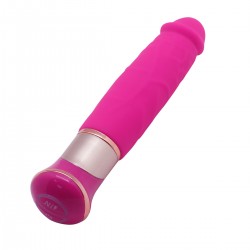 Vibrator 