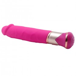 Vibrator 