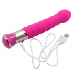 Vibrator 