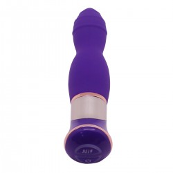 Vibrator 