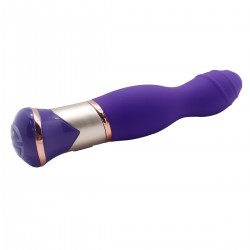 Vibrator 