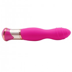 Vibrator 