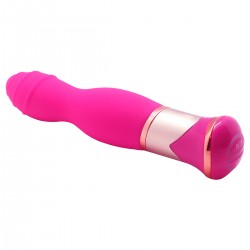 Vibrator 