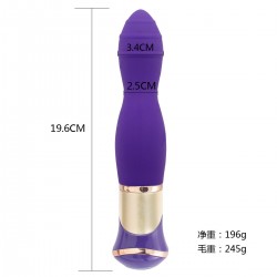 Vibrator 