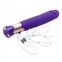 Vibrator 