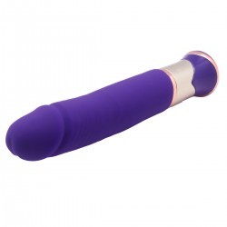 Vibrator 