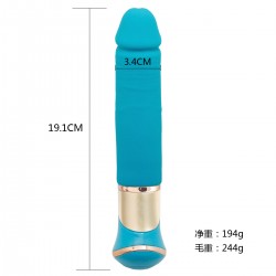 Vibrator 