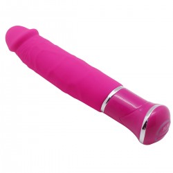 Vibrator 