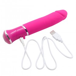 Vibrator 