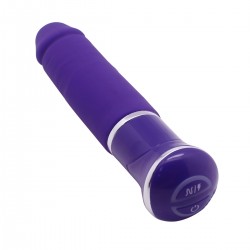 Vibrator 