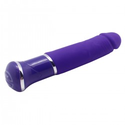 Vibrator 