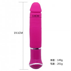 Vibrator 