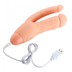 Vibrator 