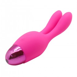 Vibrator 