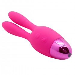 Vibrator 