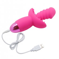 Vibrator 