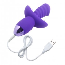 Vibrator 