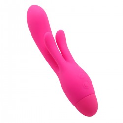 Vibrator 