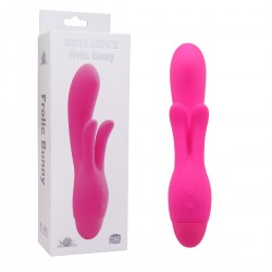 Vibrator 