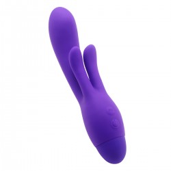 Vibrator 