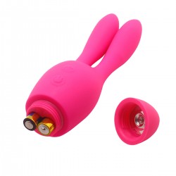 Vibrator 