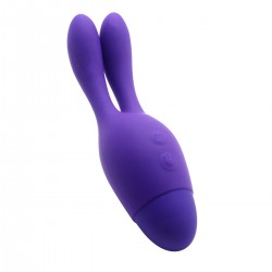 Vibrator 