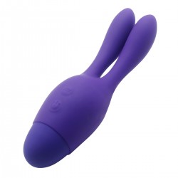 Vibrator 