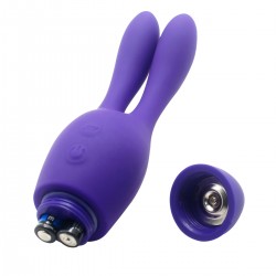 Vibrator 