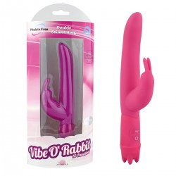 Vibrator 10 Modes Vibe 