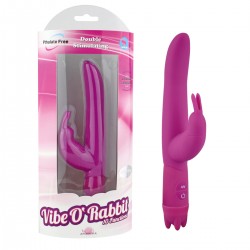 Vibrator 10 Modes Vibe 